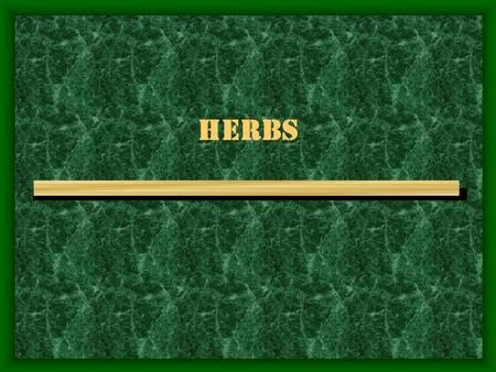 HERBS. WHAT YOU WILL LEARN What herb means What herbs can be used in History of herbs How to dry herbs How to store herbs.