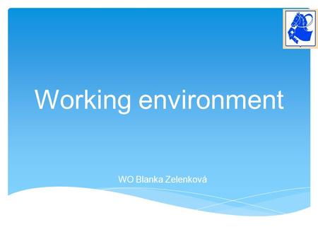 Working environment WO Blanka Zelenková. Vocabulary & Definitions & Abbreviations Tower Cab – the upper part of the Control TWR where ATC crew is situated.