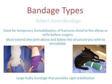 Bandage Types Robert Jones Bandage Used for temporary immobilization of fractures distal to the elbow or stifle before surgery Must extend one joint above.