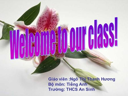 Giáo viên :Ngô Thị Thanh Hương Bộ môn: Tiếng Anh Trường: THCS An Sinh.