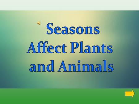 Many animals need to eat plants to stay alive. These animals are called Herbivores. They eat plants such as leaves, grass, flowers, seeds, fruit, and.