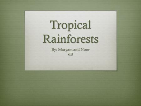 Tropical Rainforests By: Maryam and Noor 6B.