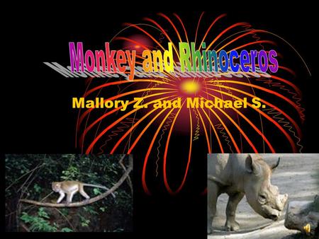 Mallory Z. and Michael S. Mammals There are five different groups of animals with vertebrates. Reptiles Fish Amphibians Birds.