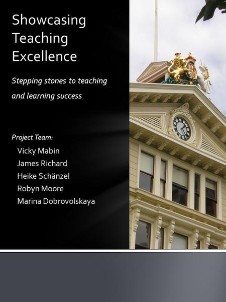 Stepping stones to teaching and learning success Project Team: Vicky Mabin James Richard Heike Schänzel Robyn Moore Marina Dobrovolskaya Showcasing Teaching.