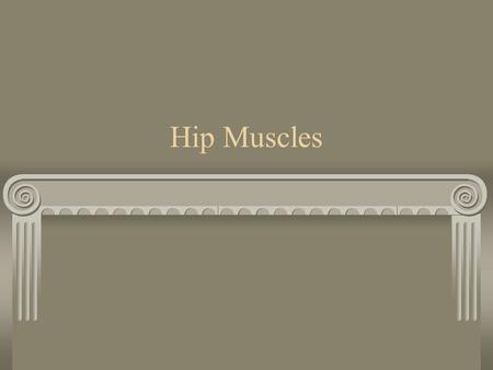 Hip Muscles. Anterior Muscles Sartorius O – ASIS I – Proximal anteromedial aspect of tibial condyle N – Femoral F – Hip FLx, ADD, ER Knee Flx & medial.