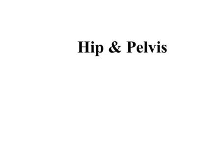 Hip & Pelvis.