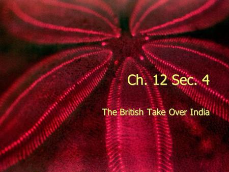 Ch. 12 Sec. 4 The British Take Over India. Britain in India British East India Company 1600s - win trading rights on the fringe of Mughal empire Company’s.