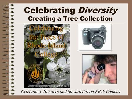 Celebrating Diversity Creating a Tree Collection Celebrate 1,100 trees and 80 varieties on RIC’s Campus.