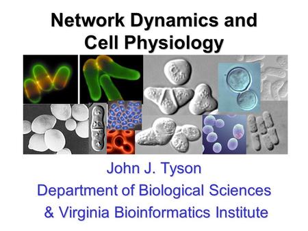 Network Dynamics and Cell Physiology John J. Tyson Department of Biological Sciences & Virginia Bioinformatics Institute & Virginia Bioinformatics Institute.