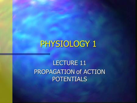 PHYSIOLOGY 1 LECTURE 11 PROPAGATION of ACTION POTENTIALS.