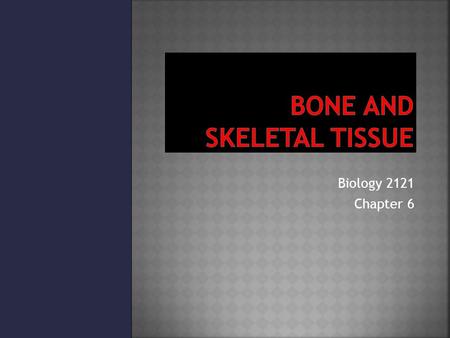 Biology 2121 Chapter 6.  1. Bone Fractures and Breaks  2. Bone Healing.