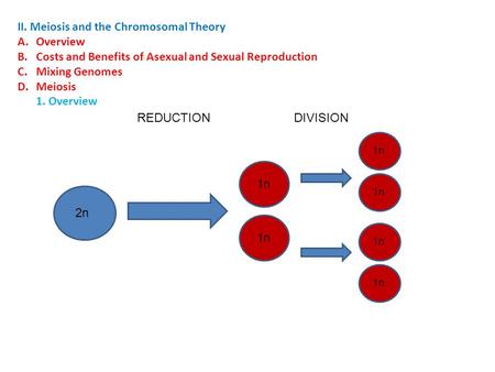 II. Meiosis and the Chromosomal Theory A.Overview B.Costs and Benefits of Asexual and Sexual Reproduction C.Mixing Genomes D.Meiosis 1. Overview 2n 1n.