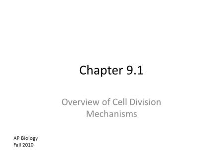 Overview of Cell Division Mechanisms