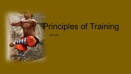 Principles of Training EXSC 205. Why understand training theory? Ultimately it is to improve athletic performance Secondary Objectives: Prevent injury.