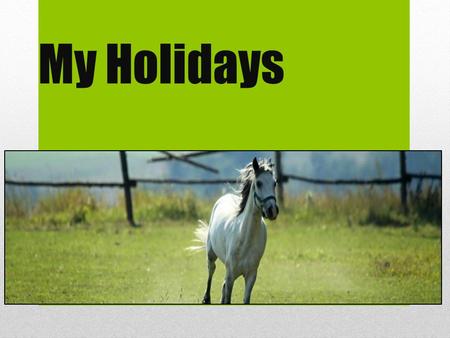 My Holidays. Camp I was in the Camp. Camp was in Dolní Přím. It was a horse camp. I was ride on Nebraska. This was great.