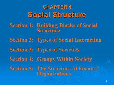 CHAPTER 4 Social Structure