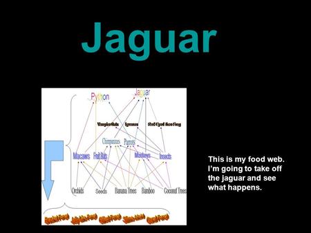 This is my food web. I’m going to take off the jaguar and see what happens. Jaguar.