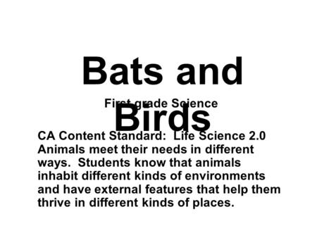 Bats and Birds First grade Science