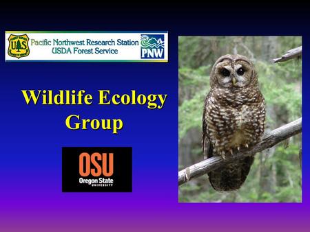 Wildlife Ecology Group. Northwest Forest Plan (NWFP): 8 monitoring areas Meta-analyses: 2004 --14 study areas 2009 --11 study areas.