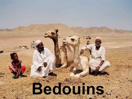 Bedouins.