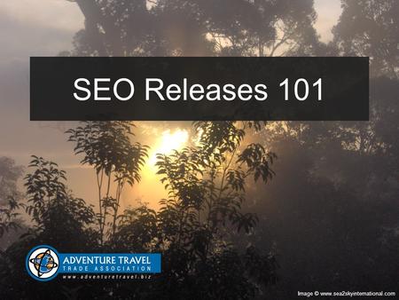 SEO Releases 101 Image © www.sea2skyinternational.com.