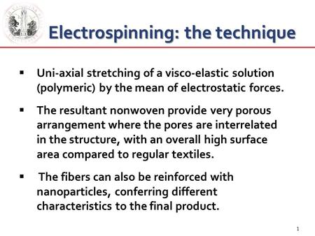 Electrospinning: the technique