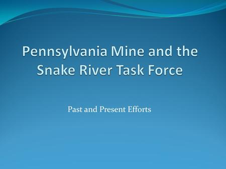 Past and Present Efforts. History 1985-89 – Early acid rock drainage and wetlands investigations 1989 – US Forest Service Special Use Permit for pilot.