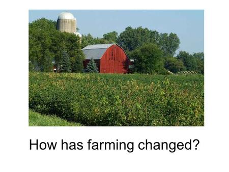 How has farming changed?. Cattle Feedlots Chicken Farms.