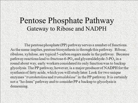 Pentose Phosphate Pathway