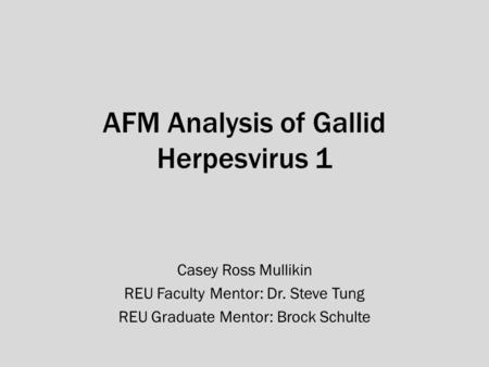 AFM Analysis of Gallid Herpesvirus 1