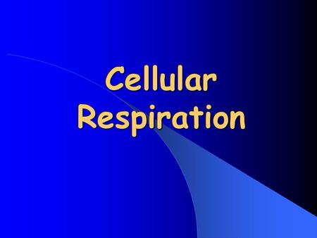 Cellular Respiration.