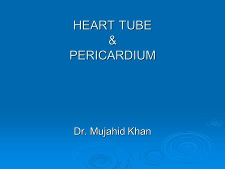 HEART TUBE & PERICARDIUM