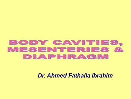 BODY CAVITIES, MESENTERIES & DIAPHRAGM Dr. Ahmed Fathalla Ibrahim.