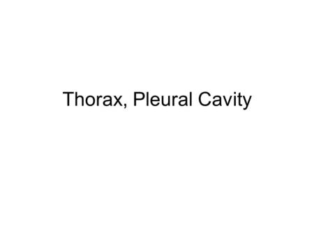 Thorax, Pleural Cavity.