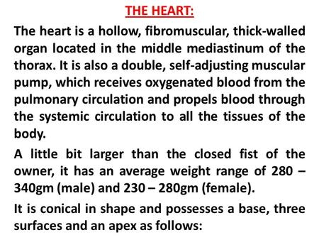 THE HEART: The heart is a hollow, fibromuscular, thick-walled organ located in the middle mediastinum of the thorax. It is also a double, self-adjusting.