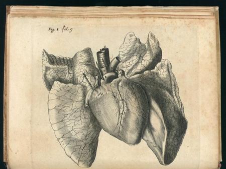 Introduction The heart pumps 7,000 liters of blood through the body each day The heart contracts 2.5 billion times in an average lifetime It takes approximately.