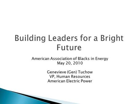 American Association of Blacks in Energy May 20, 2010 Genevieve (Gen) Tuchow VP, Human Resources American Electric Power.