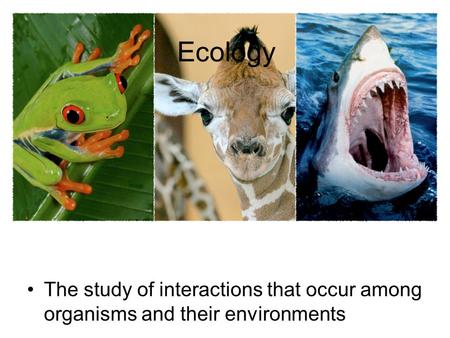 Ecology The study of interactions that occur among organisms and their environments.