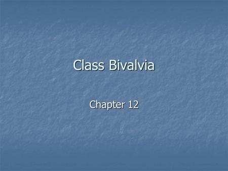 Class Bivalvia Chapter 12. Bivalves 2 nd largest molluscan class 2 nd largest molluscan class Includes the clams, oysters, mussels, and scallops Includes.