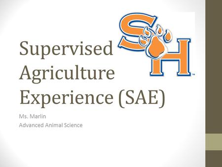 Supervised Agriculture Experience (SAE) Ms. Marlin Advanced Animal Science.