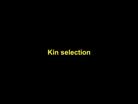 Kin selection. actor +- + cooperativealtruistic - selfishspiteful recipient Individual interaction behaviors.