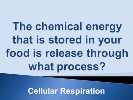 Cellular Respiration. Glycolysis-Krebs Cycle-ETC.