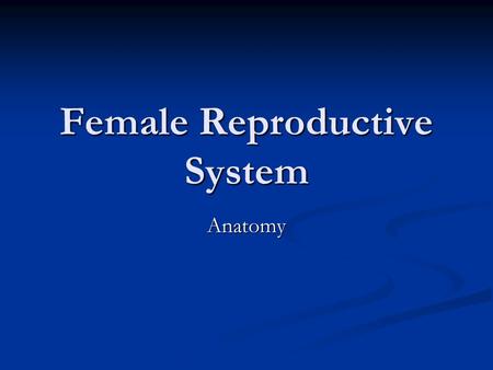 Female Reproductive System