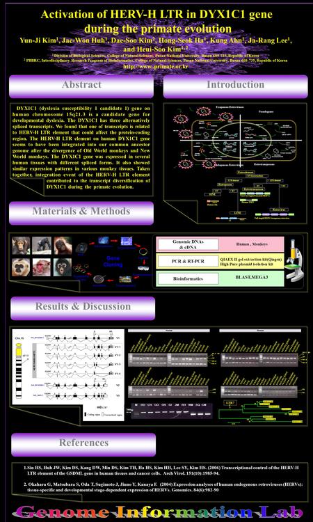 AbstractIntroduction Materials & Methods Results & Discussion PCR Electrophoresis Gel purification Transformation1 Transformation2 Ligation Inoculation.