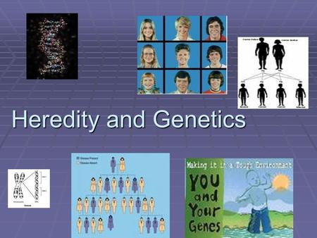 Heredity and Genetics Heredity and Genetics. How it all works  Dominant is the expressed trait. (That means the trait we see. So it gets a capital.