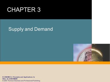 ECONOMICS: Principles and Applications 3e HALL & LIEBERMAN © 2005 Thomson Business and Professional Publishing Supply and Demand.