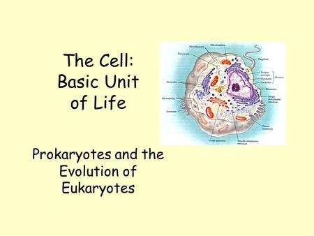 The Cell: Basic Unit of Life Prokaryotes and the Evolution of Eukaryotes.