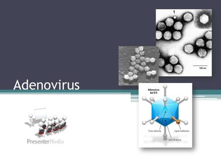 Adenovirus.