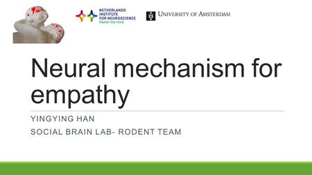 Neural mechanism for empathy YINGYING HAN SOCIAL BRAIN LAB- RODENT TEAM.