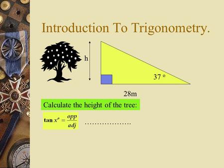 Introduction To Trigonometry. h 28m 37 o Calculate the height of the tree: ……………….